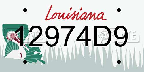 12974D9 Louisiana License Plate