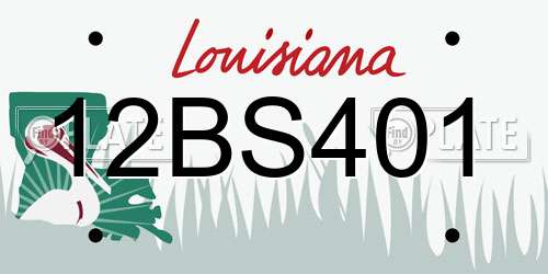 12BS401 Louisiana License Plate