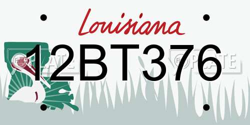 12BT376 Louisiana License Plate