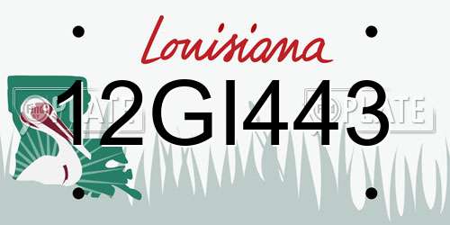 12GI443 Louisiana License Plate