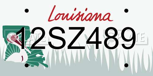 12SZ489 Louisiana License Plate