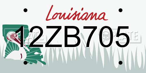 12ZB705 Louisiana License Plate