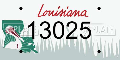 13025 Louisiana License Plate