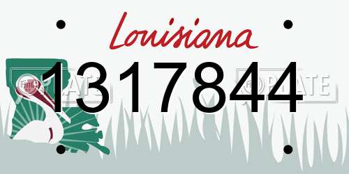 1317844 Louisiana License Plate