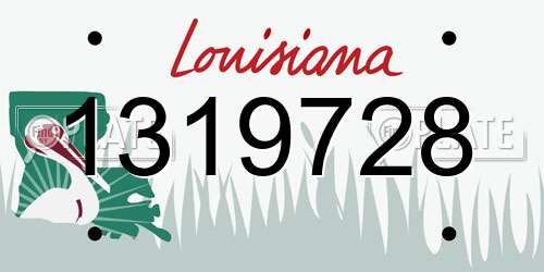1319728 Louisiana License Plate