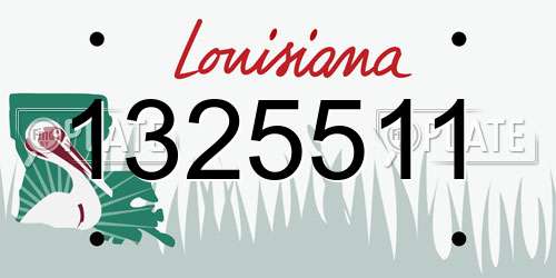 1325511 Louisiana License Plate