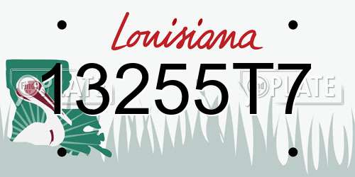 13255T7 Louisiana License Plate
