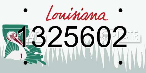 1325602 Louisiana License Plate
