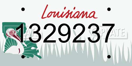 1329237 Louisiana License Plate