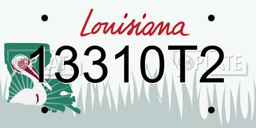 13310T2 Louisiana License Plate