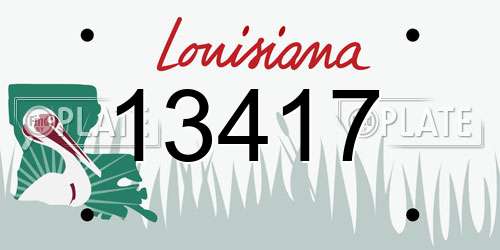 13417 Louisiana License Plate