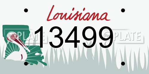 13499 Louisiana License Plate