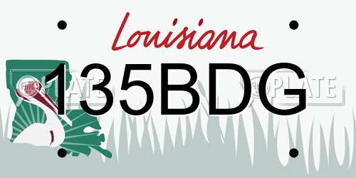 135BDG Louisiana License Plate
