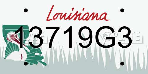 13719G3 Louisiana License Plate
