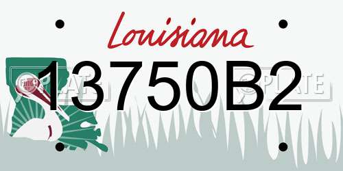 13750B2 Louisiana License Plate