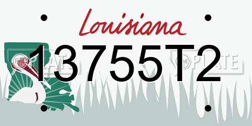13755T2 Louisiana License Plate