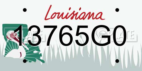 13765G0 Louisiana License Plate