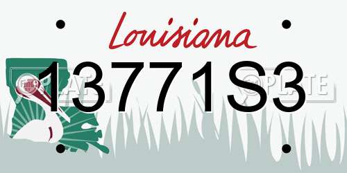13771S3 Louisiana License Plate