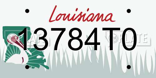 13784T0 Louisiana License Plate