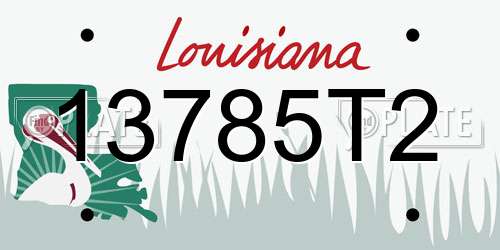 13785T2 Louisiana License Plate