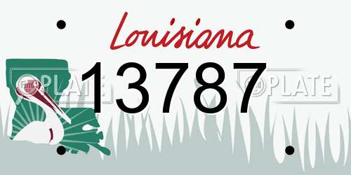 13787 Louisiana License Plate