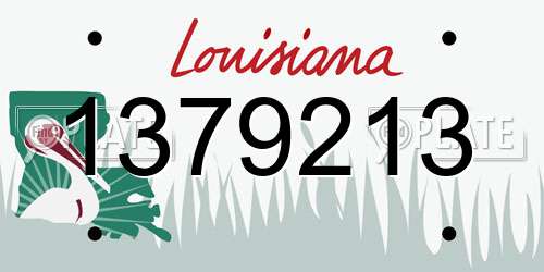 1379213 Louisiana License Plate