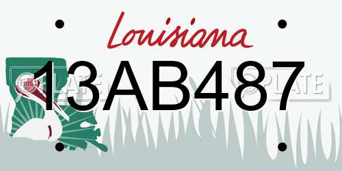13AB487 Louisiana License Plate