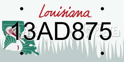 13AD875 Louisiana License Plate