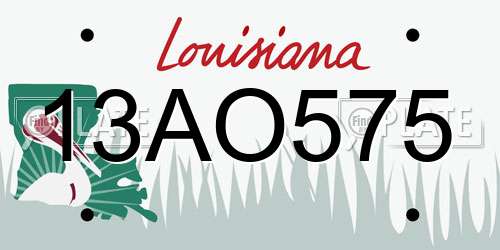 13AO575 Louisiana License Plate