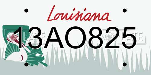 13AO825 Louisiana License Plate