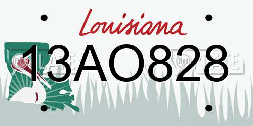 13AO828 Louisiana License Plate