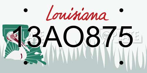 13AO875 Louisiana License Plate