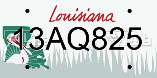 13AQ825 Louisiana License Plate