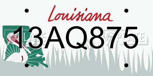 13AQ875 Louisiana License Plate