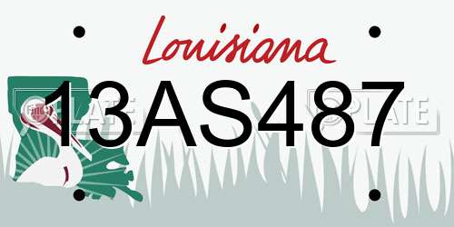 13AS487 Louisiana License Plate