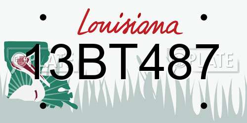 13BT487 Louisiana License Plate