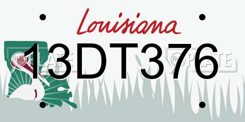 13DT376 Louisiana License Plate