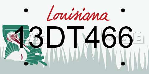13DT466 Louisiana License Plate
