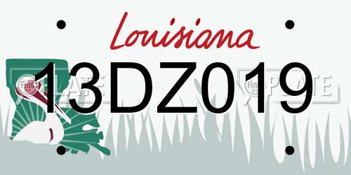 13DZ019 Louisiana License Plate