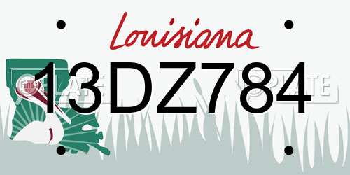 13DZ784 Louisiana License Plate
