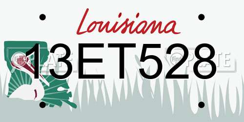 13ET528 Louisiana License Plate