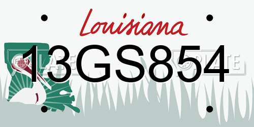 13GS854 Louisiana License Plate
