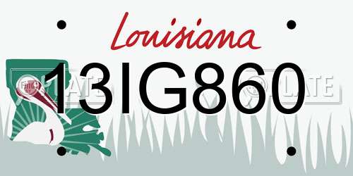 13IG860 Louisiana License Plate