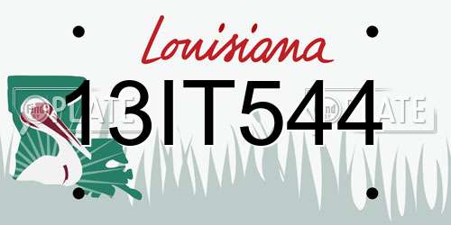 13IT544 Louisiana License Plate