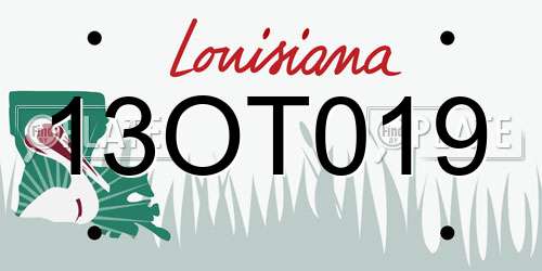 13OT019 Louisiana License Plate