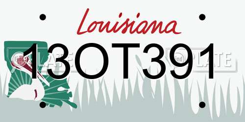 13OT391 Louisiana License Plate