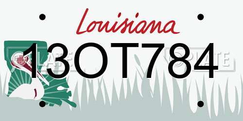 13OT784 Louisiana License Plate