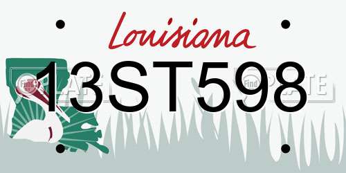 13ST598 Louisiana License Plate