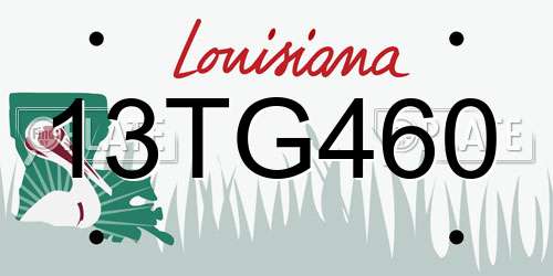 13TG460 Louisiana License Plate