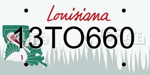 13TO660 Louisiana License Plate
